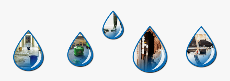 Plumbing Leak Detection And Water Damage Mitigation - Emblem, Transparent Clipart