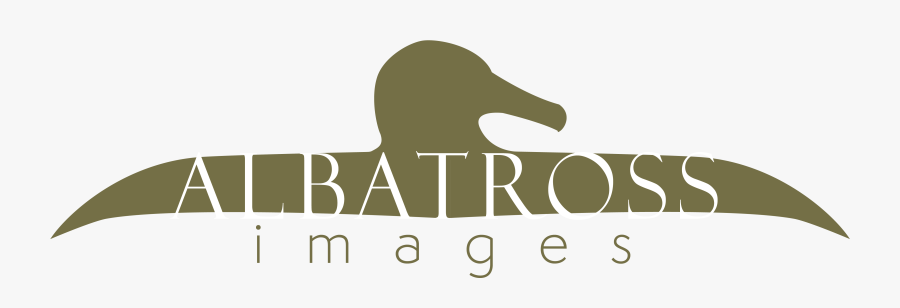 Albatross Logo 6 Olive - Duck, Transparent Clipart