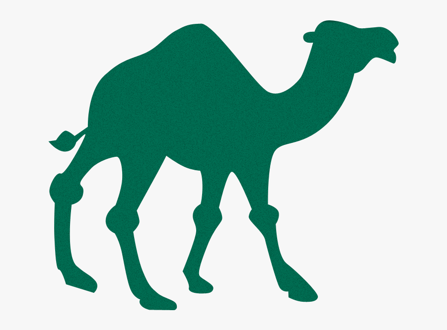 Bands And Artists With Animal Names - Camel Clipart, Transparent Clipart
