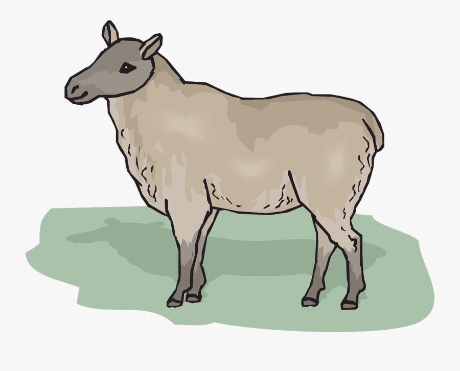 Standing Ewe Animal Free Photo - Ewe Clipart, Transparent Clipart