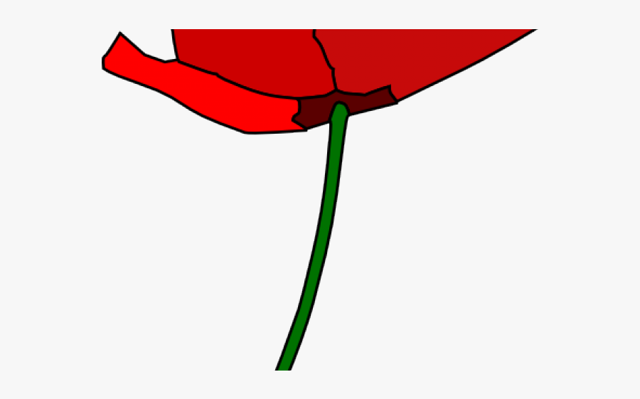 Cartoon Poppy Flower, Transparent Clipart