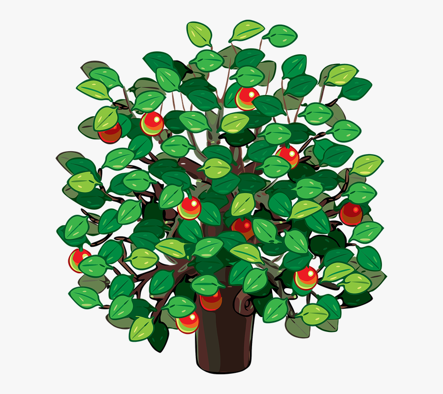 Tree, Apple Tree, Apple, Leaves, Nature, Red, Transparent Clipart