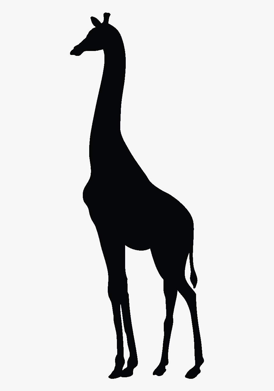 Baby Giraffes About Giraffes Paper Zazzle - Stand Tall Little One Giraffe, Transparent Clipart