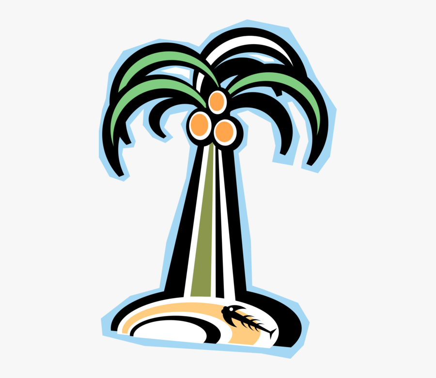 Vector Illustration Of Arecaceae Palm Tree On Tropical, Transparent Clipart