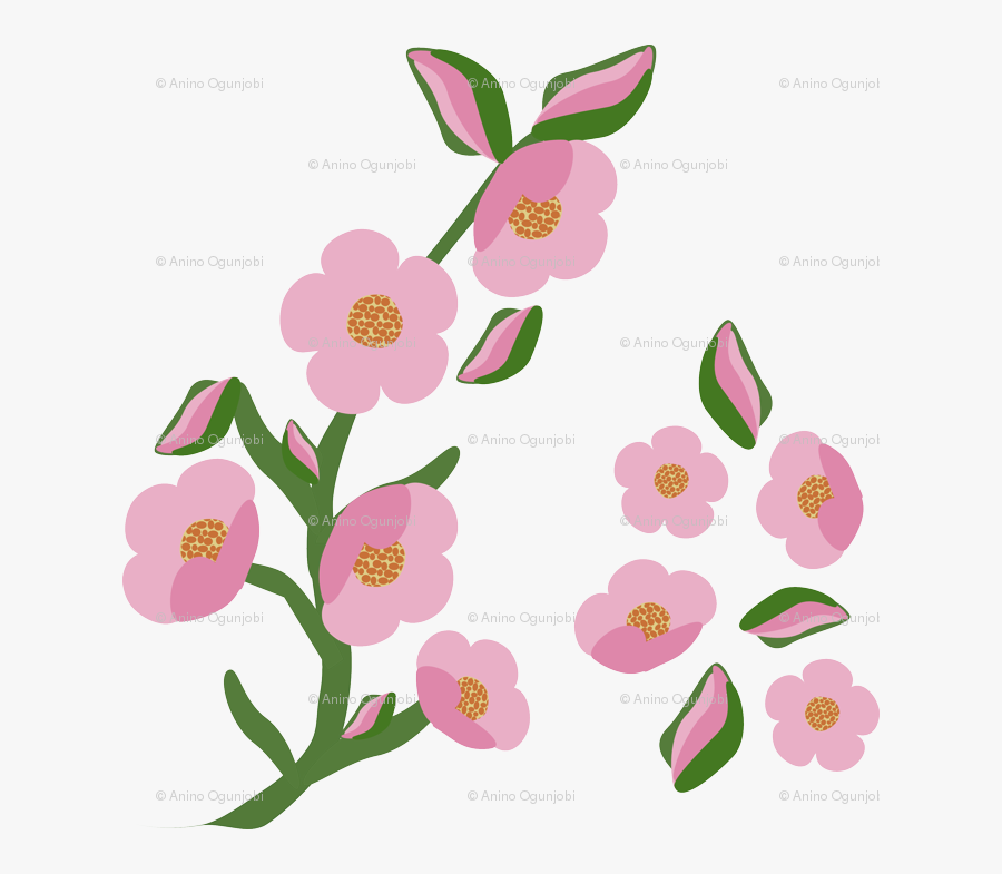 Single Rock E Border Flower By Anino - Rock Rose, Transparent Clipart
