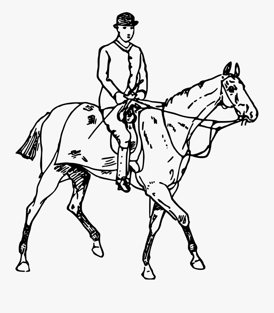 Horse And Rider 4 Clip Arts - At Üstünde Insan Çizimi, Transparent Clipart