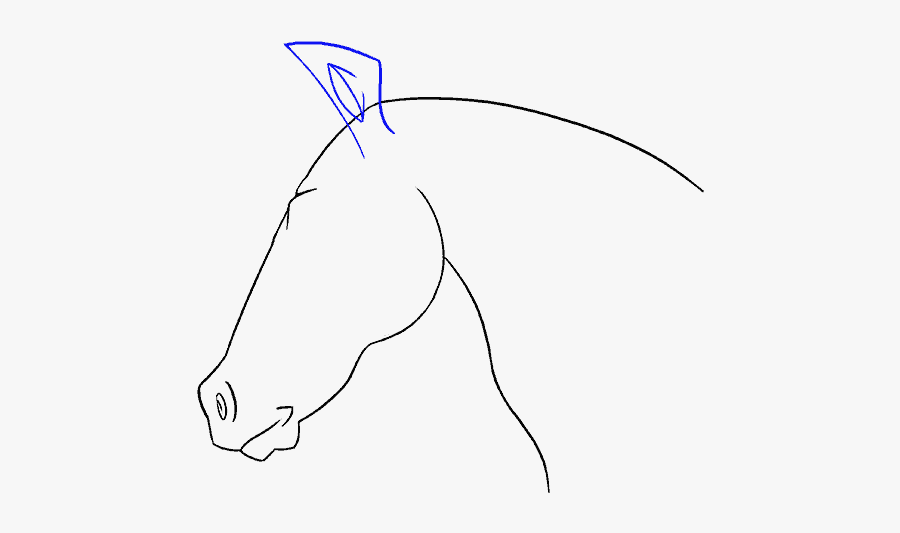 Clip Art Horse Head Drawing - Line Art, Transparent Clipart