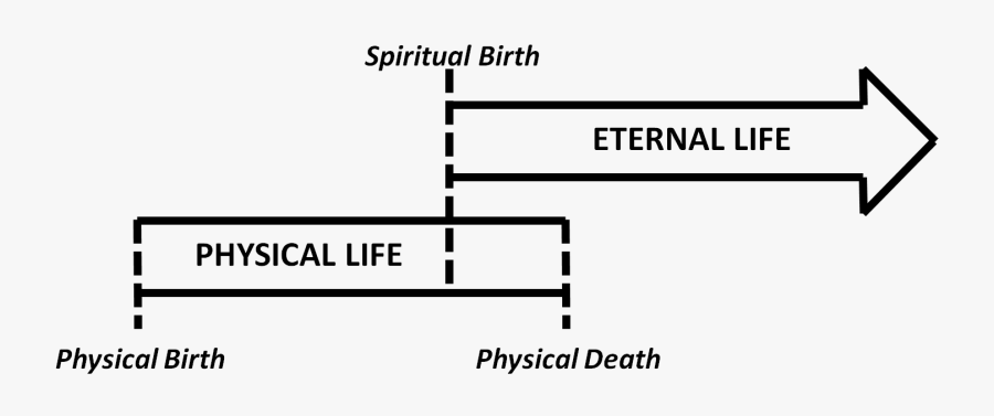 Free On Dumielauxepices Net - Physical Birth And Spiritual Birth, Transparent Clipart