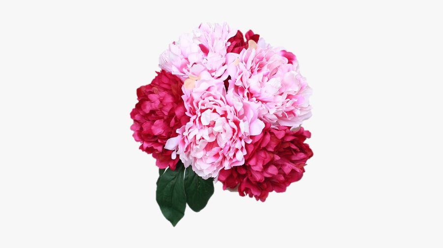 Common Peony, Transparent Clipart