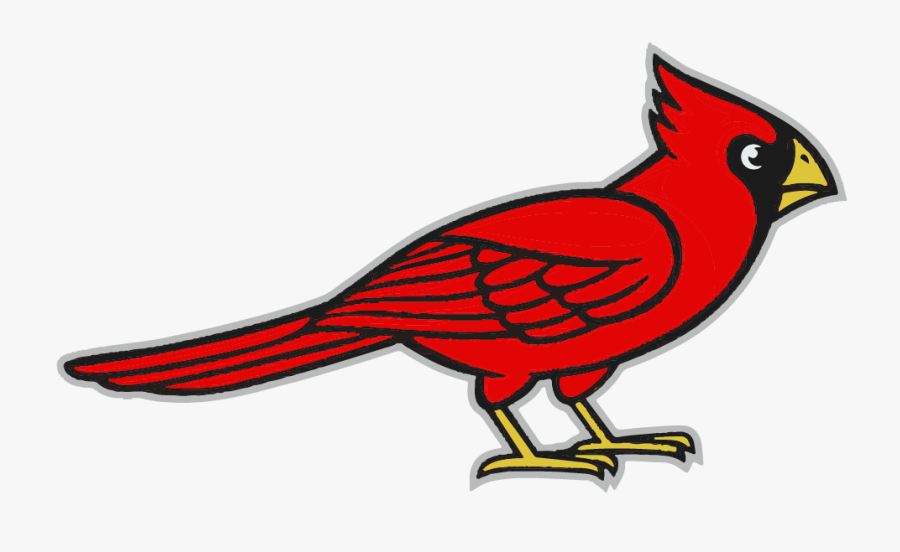 Step By Step Cardinal, Transparent Clipart