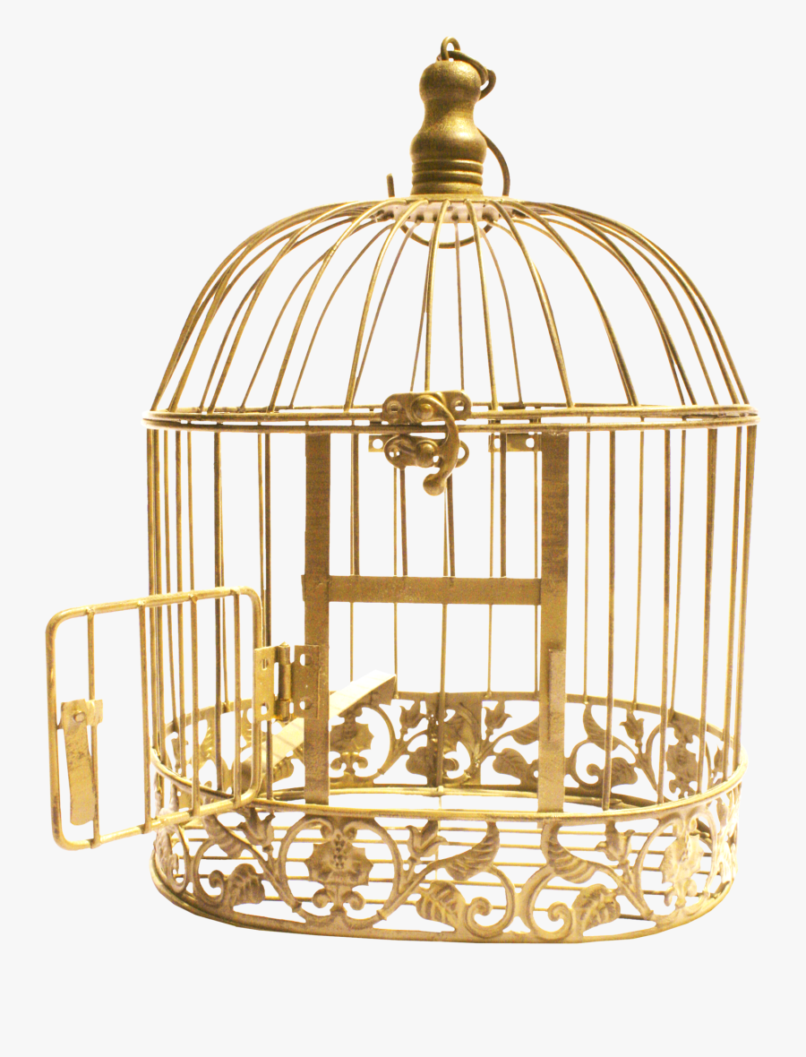 bird cage open