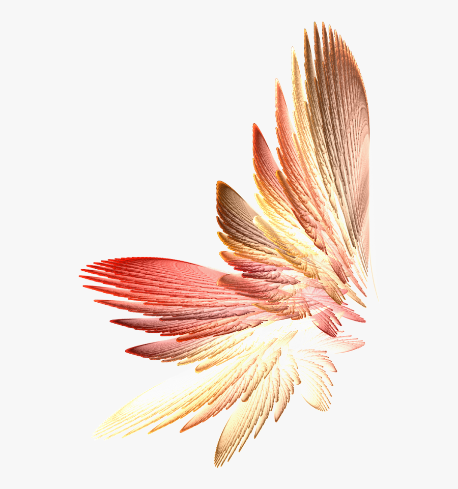 Tinkerbell Wings Png Download, Transparent Clipart
