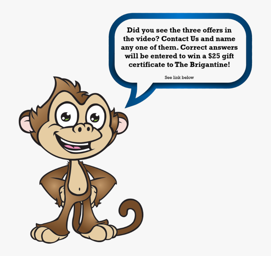 Cartoon Monkey Looking Confused, Transparent Clipart