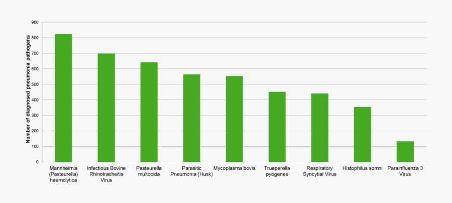 Apha Surveillance Data For Pneumonia Pathogens 2012-2017 - Plot, Transparent Clipart