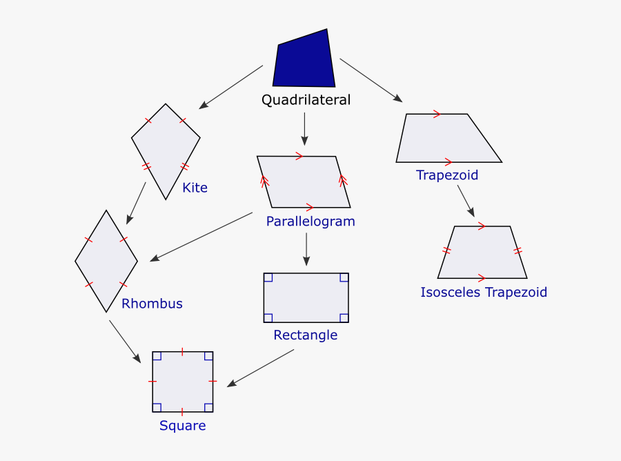 Diagram, Transparent Clipart