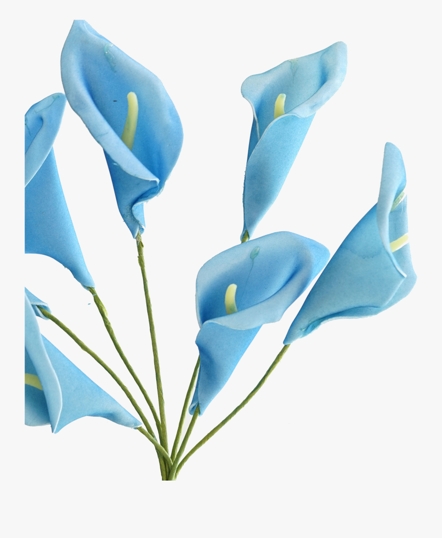 Calla Lily Png - Lilies Flowers, Transparent Clipart