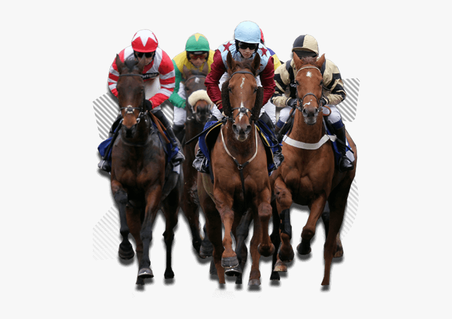 Fairview Horse Racing Port Elizabeth, Transparent Clipart