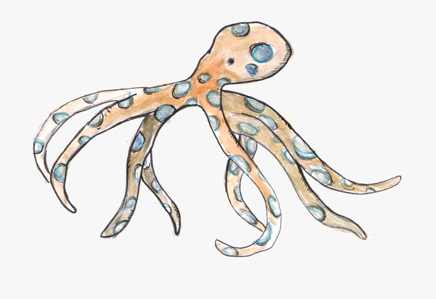 Blue Ring Octopus - Blue Ringed Octopus Clipart, Transparent Clipart