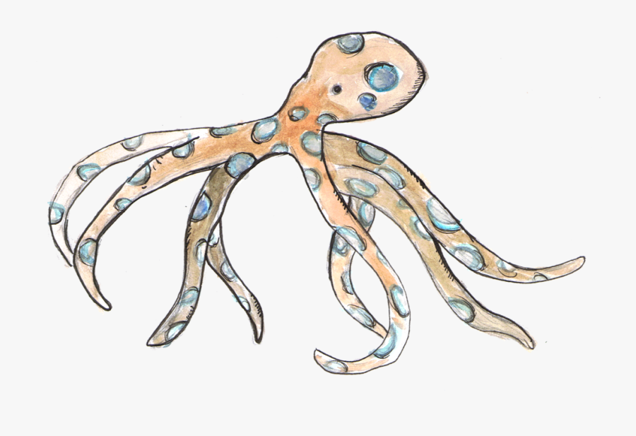 Blue Ring Octopus Blue Ringed Octopus Clipart Free Transparent