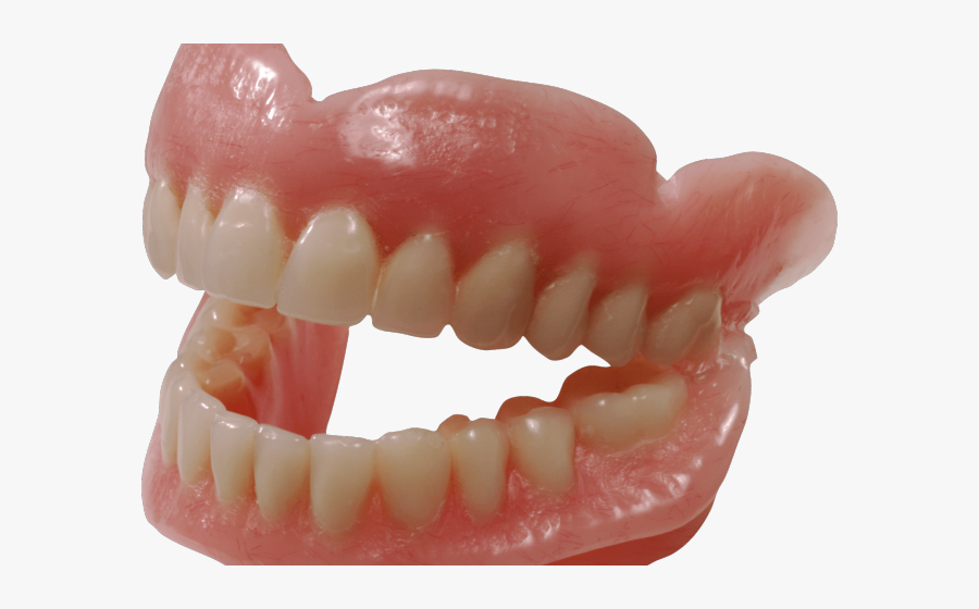 Human Teeth Png, Transparent Clipart