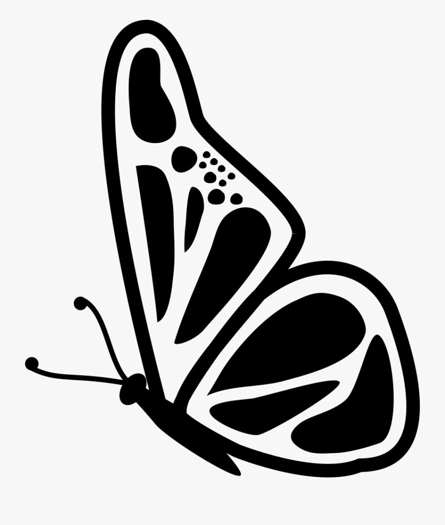 Butterfly Side View - One Side Butterfly Drawing, Transparent Clipart
