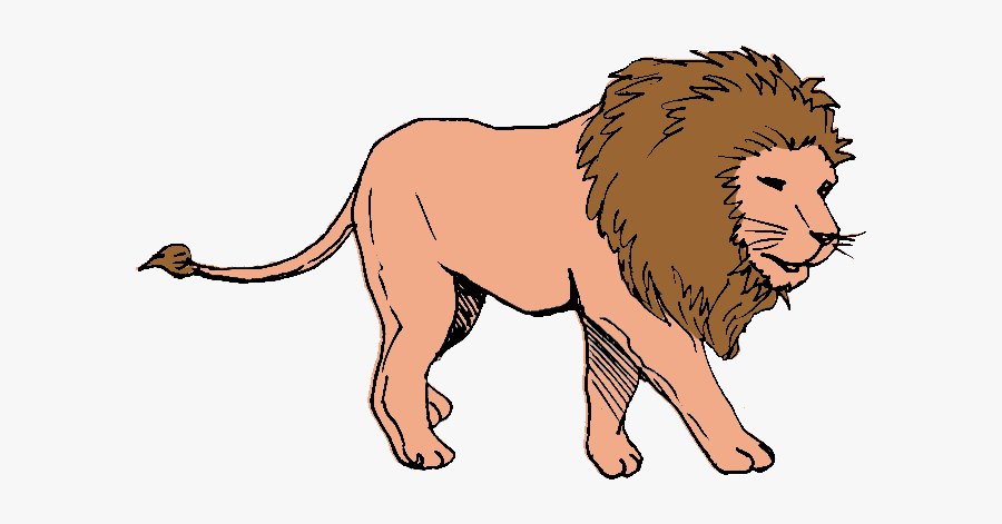 Lion Clipart Walking, Transparent Clipart