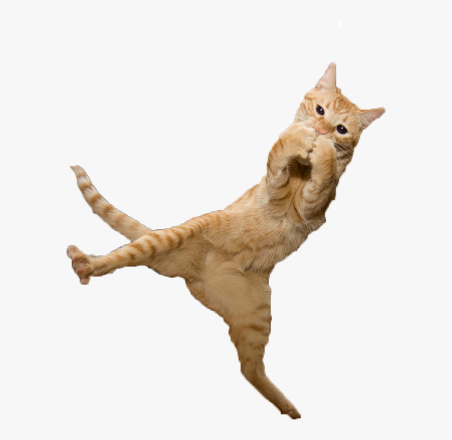 Clip Art Just Some Fabulous Cats - Cat Jumping Transparent Background, Transparent Clipart