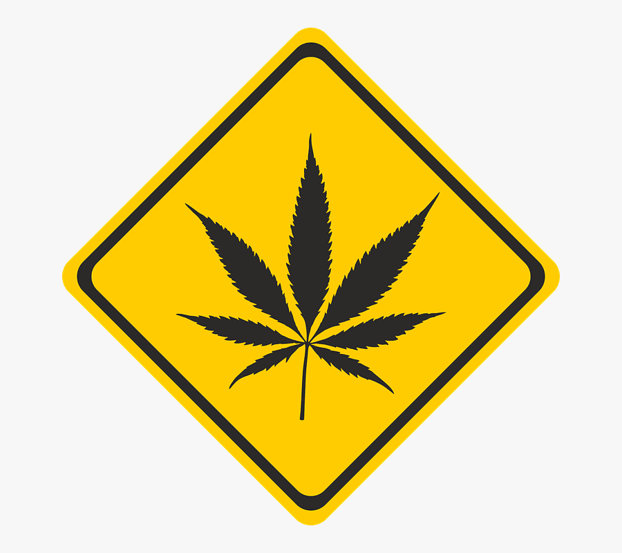 Responsible Recreational Marijuana Use In Nevada - Pot Leaf, Transparent Clipart