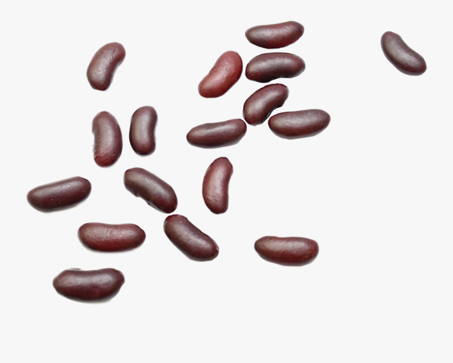 Kidney Clipart Dry Bean - Kidney Bean, Transparent Clipart