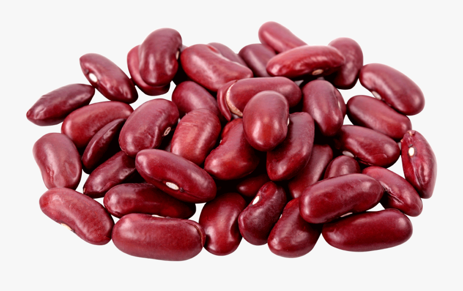 Kidney Beans Download Png Image - Beans Png, Transparent Clipart