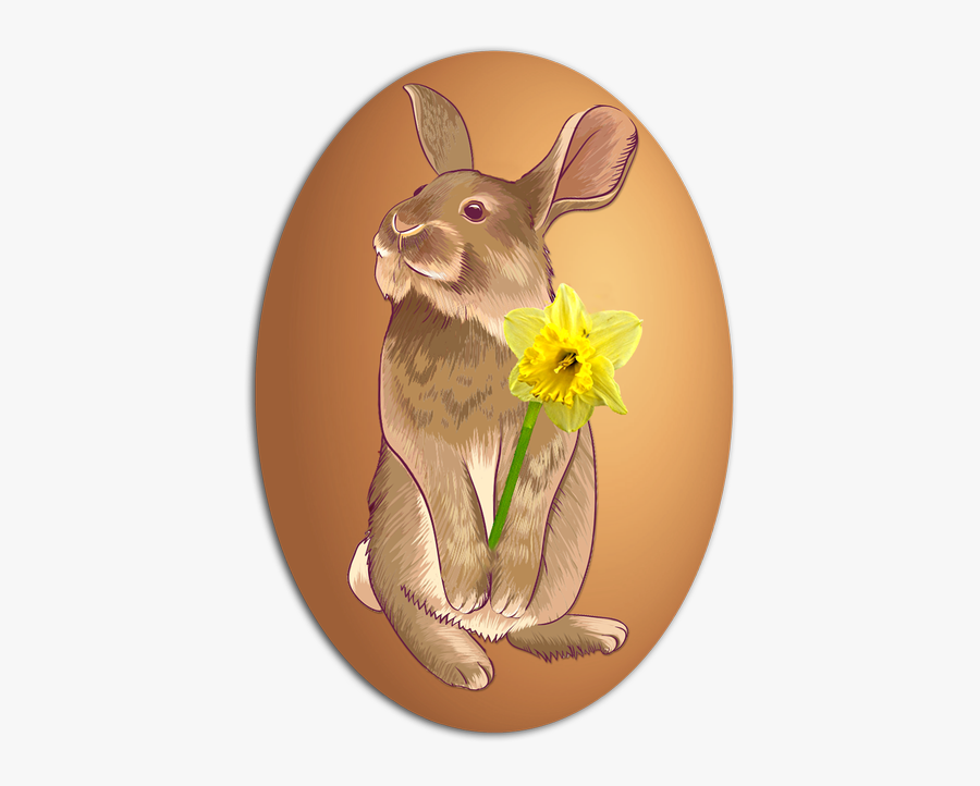 Egg Easter Egg Easter - Kangaroo, Transparent Clipart