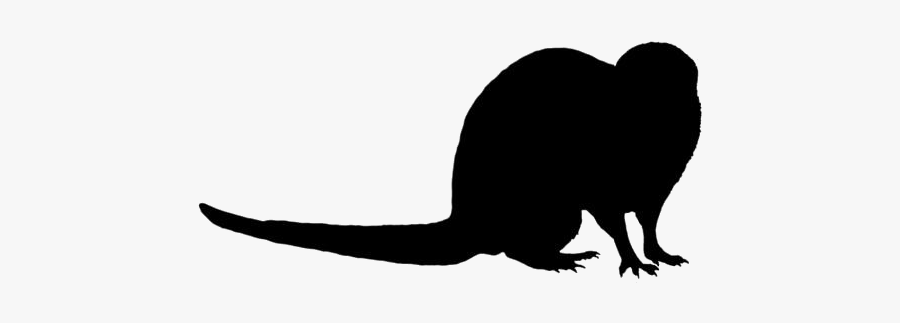 Small Indian Mongoose Png Image Clipart - Silhouette, Transparent Clipart