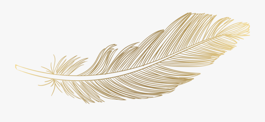 Gold Transparent Feather Png, Transparent Clipart