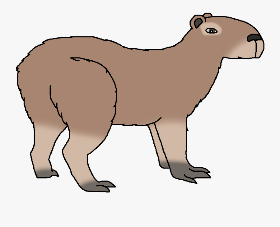 Capybara - Punxsutawney Phil, Transparent Clipart