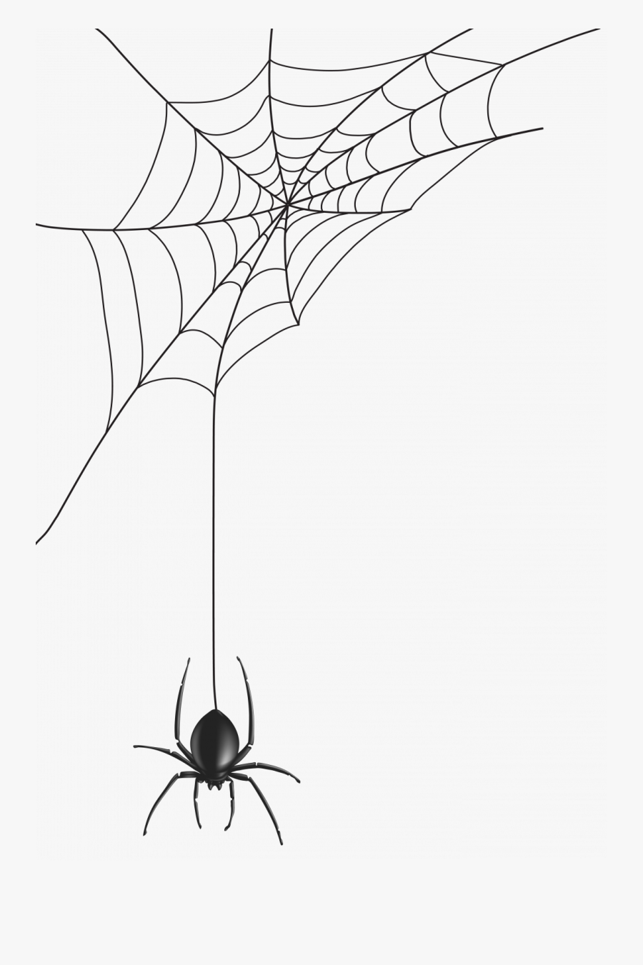 Halloween Spider Web Clipart Free Png Clip Art Image - Spider Web Transparent Background, Transparent Clipart