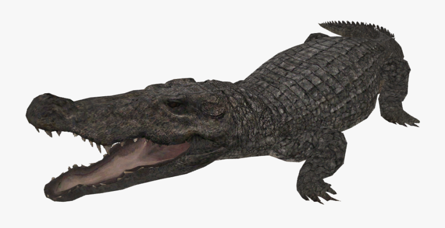 Snap Mugger Crocodile Creatures Of The World Wikia - Zoo Tycoon 2 Crocodile, Transparent Clipart
