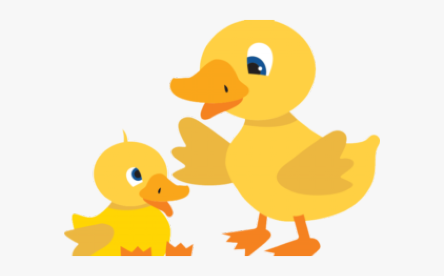 Duckling Clipart Swimming - Duck, Transparent Clipart