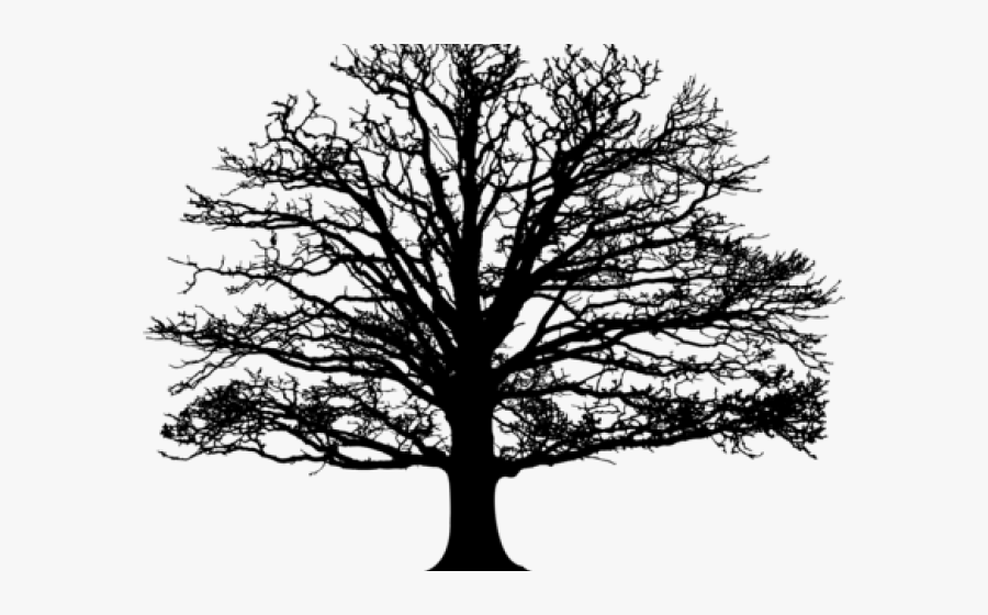 Destiny Clipart Silhouette - Leafless Oak Tree Silhouette, Transparent Clipart