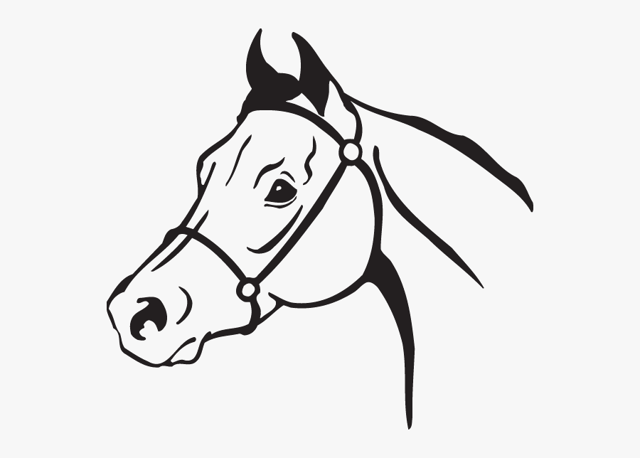 Clip Art American Quarter Horse Openclipart Arabian - Horse Head Clipart, Transparent Clipart