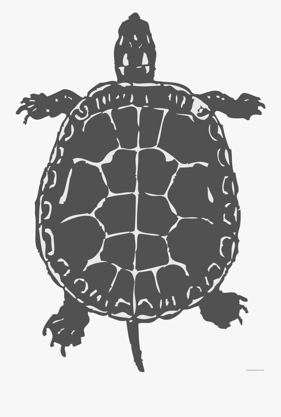 Clip Art Sea Turtle Clip Art Black And White - Birds Eye View Of A Turtle, Transparent Clipart