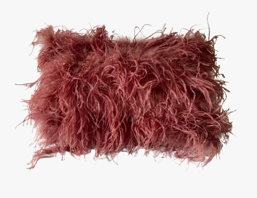 African Ostrich Lumbar Pillow - Thread, Transparent Clipart