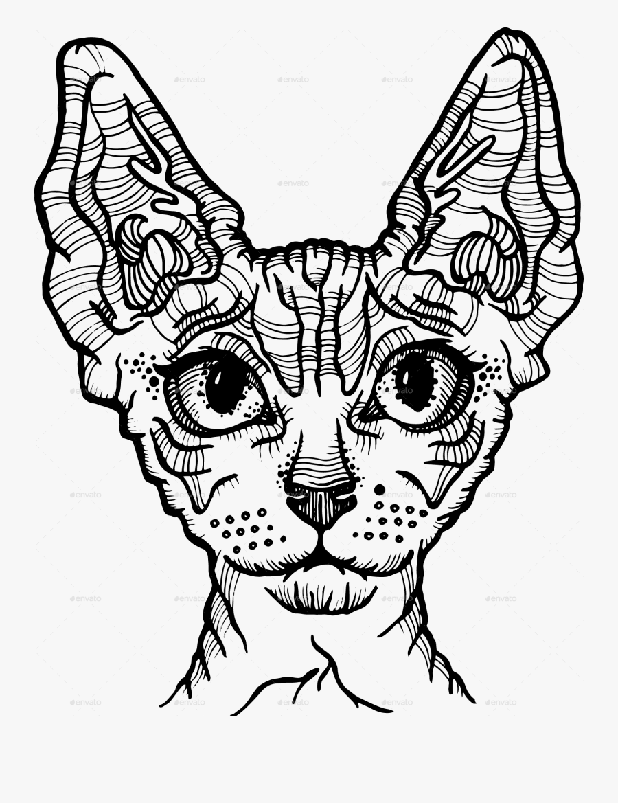 Sphynx Cat Vector Illustration - Sphynx Cat Line Art, Transparent Clipart