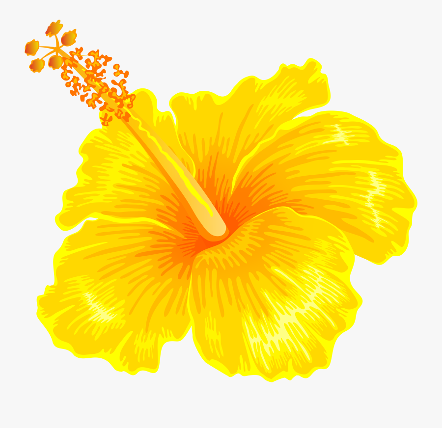 Flower Png Gallery Yopriceville, Transparent Clipart