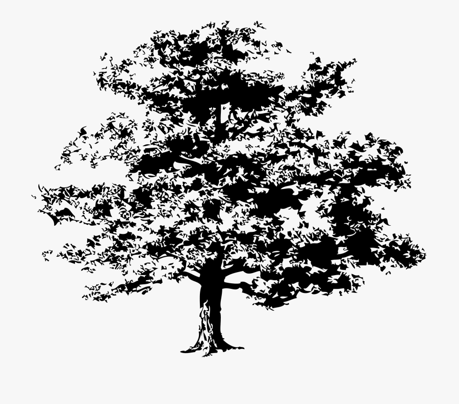 Oak Tree Png Vector - Oak Tree Vector Art Free, Transparent Clipart
