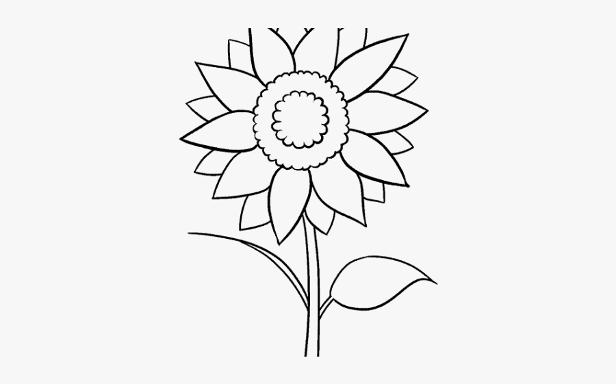 Aesthetic Sunflower Drawing Easy, Transparent Clipart