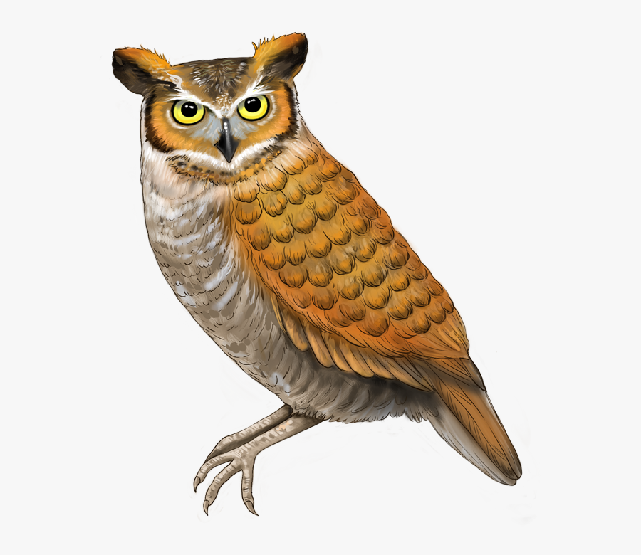 Great Horned Owl , Free Transparent Clipart - ClipartKey