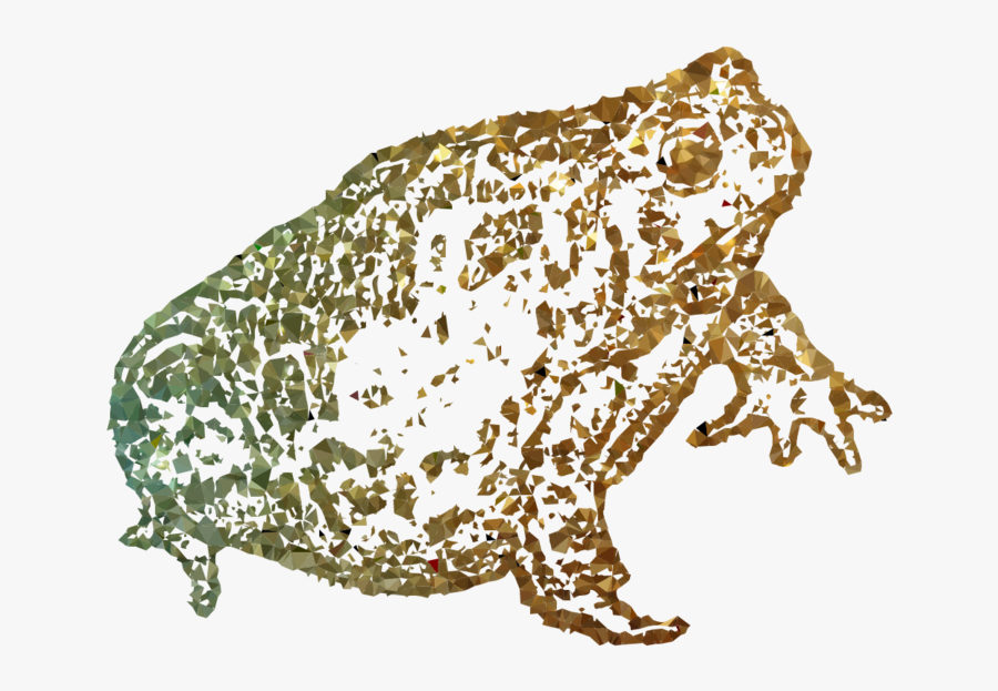 Pattern Transparent Png Image - True Frog, Transparent Clipart