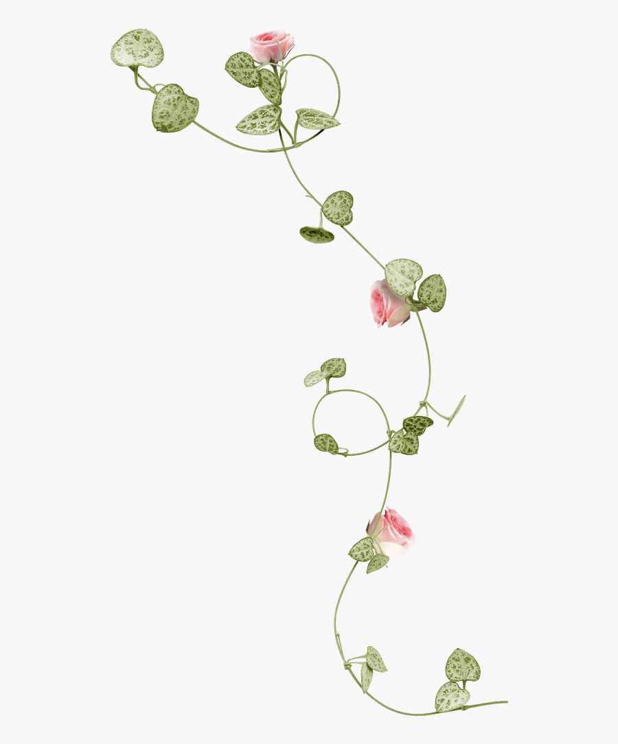 #mq #pink #flowers #vines #leaf - Flower Vine Png , Free Transparent