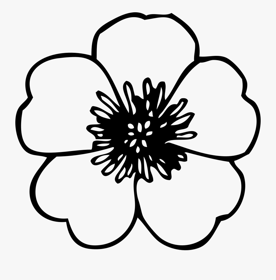 Simple Flower Clipart Black And White - Line Drawing Of Flower, Transparent Clipart