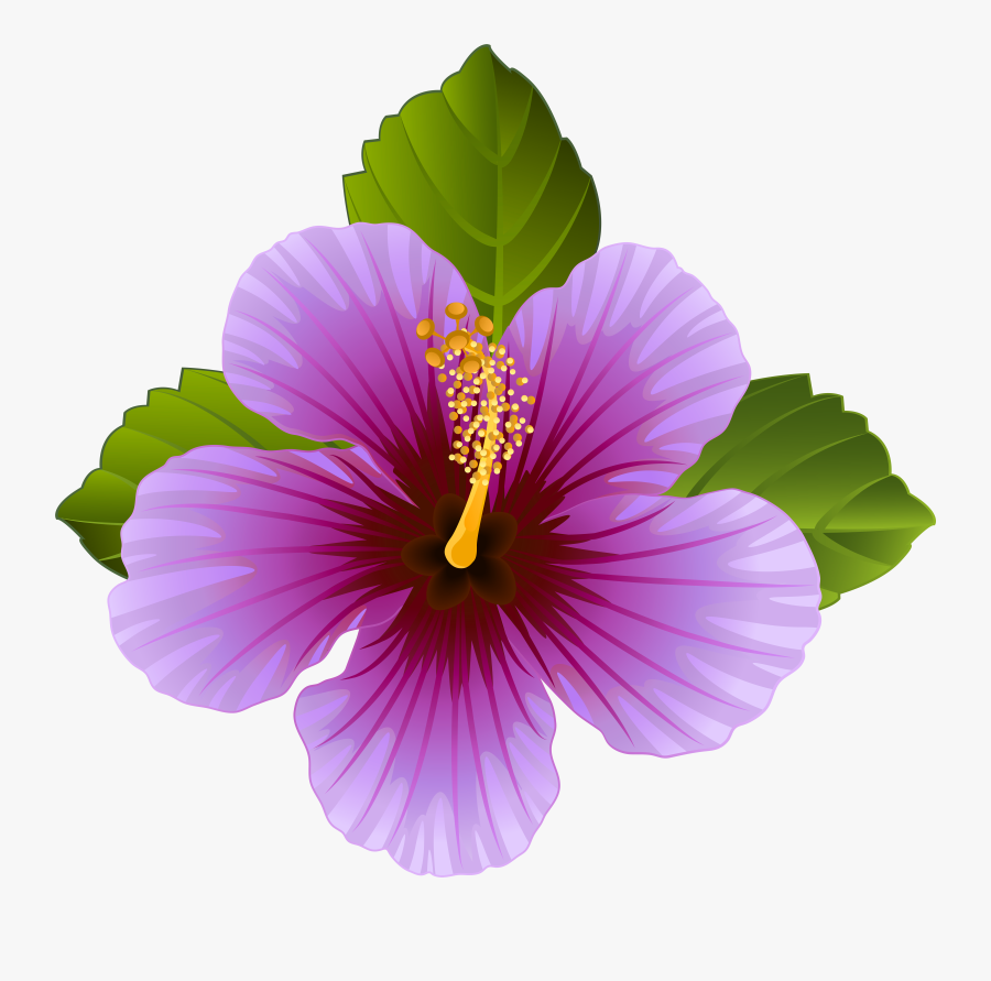 Purple Flower Clipart - Purple Hawaiian Flowers Clip Art , Free